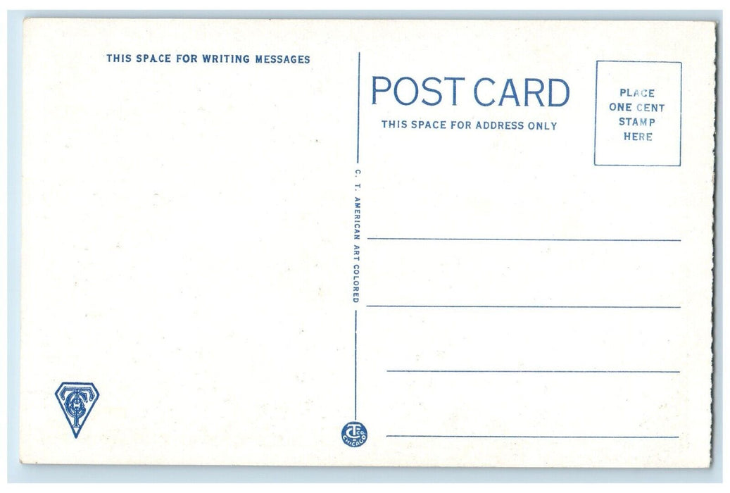 c1920 Chicago Milwaukee St. Paul Pacific Railroad Bitter Root Mountain Postcard