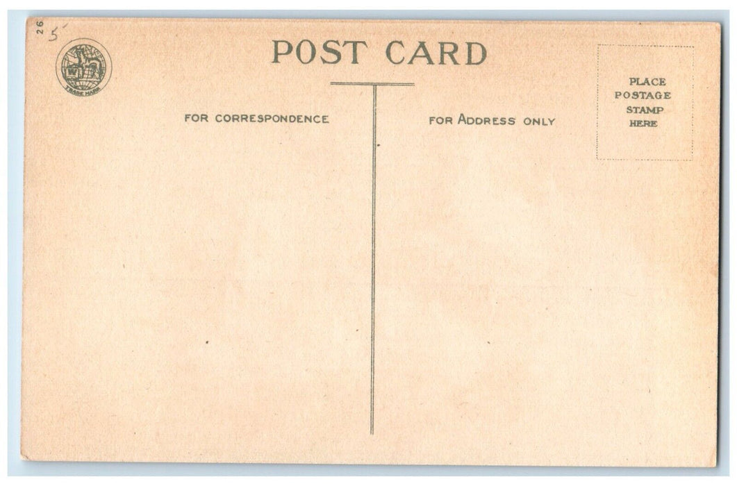 c1910's Christmas Poinsettia Flowers Mill Winter Dog Wolf Antique Postcard