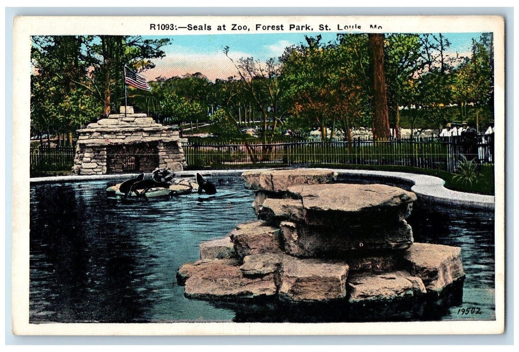 c1920 Seals Zoo Forest Park Rock Pond Amusement St. Louis Missouri MO Postcard