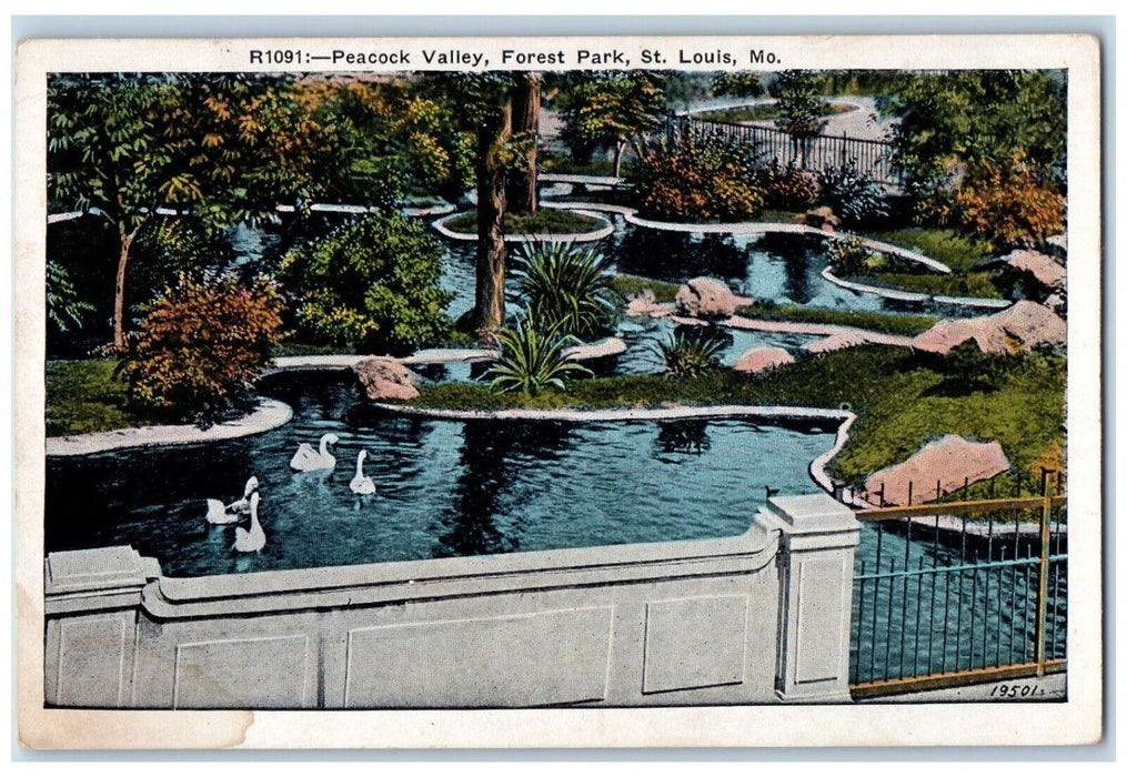 c1920 Peacock Valley Forest Park Swan Pond Exterior St. Louis Missouri Postcard