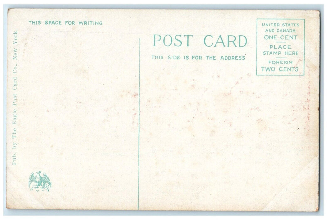 c1920 Vassar College General View Exterior Field Poughkeepsie New York Postcard