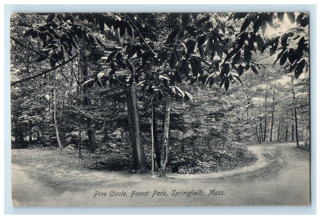 1907 Pine Circle Forest Park Springfield Massachusetts MA Posted Postcard