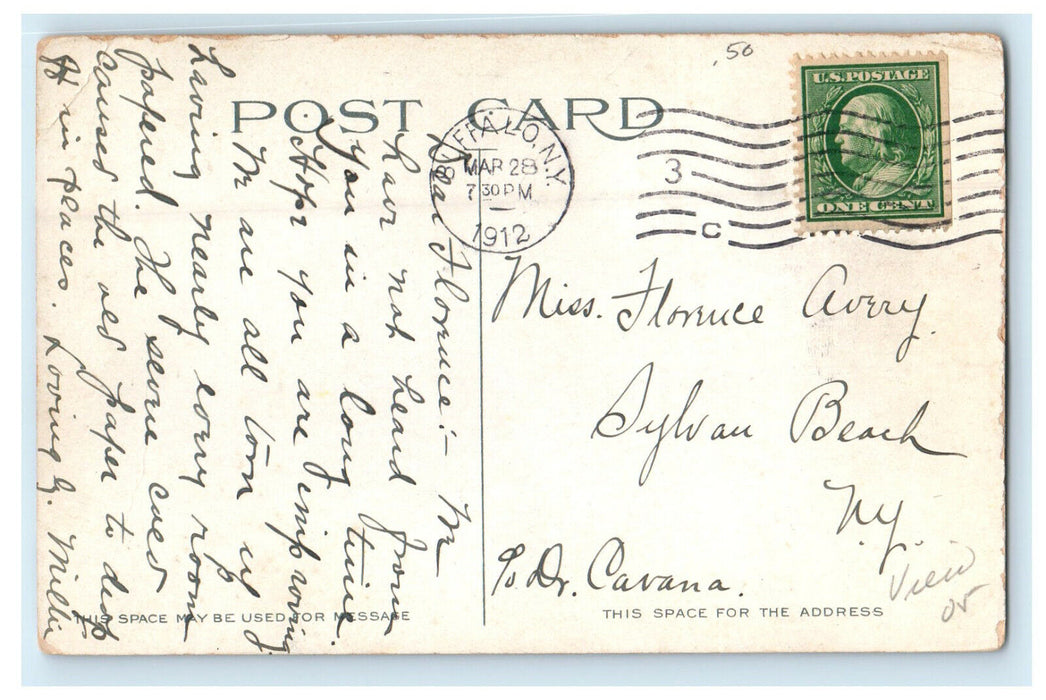 1912 Delaware Park and Lake, From Albright Art Gallery Buffalo NY Postcard