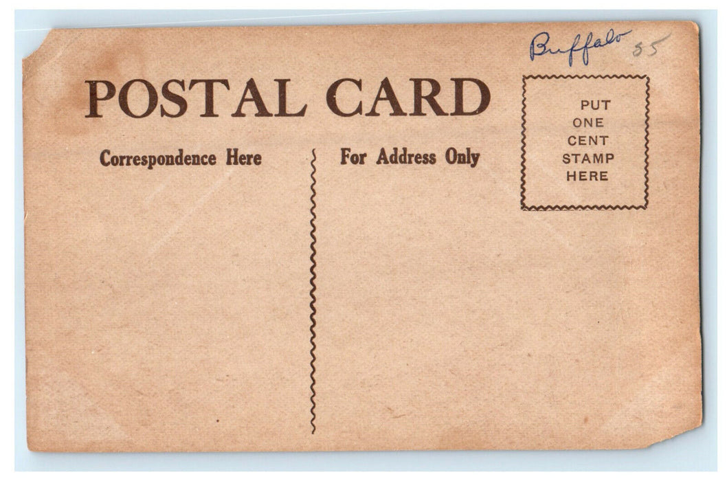 c1910 The Masten Park High School Buffalo New York NY Unposted Postcard