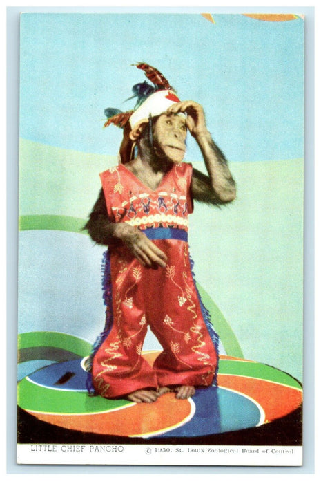 Pancho Chimpanzee Show St. Louis Zoo Missouri MO Unposted Vintage Postcard