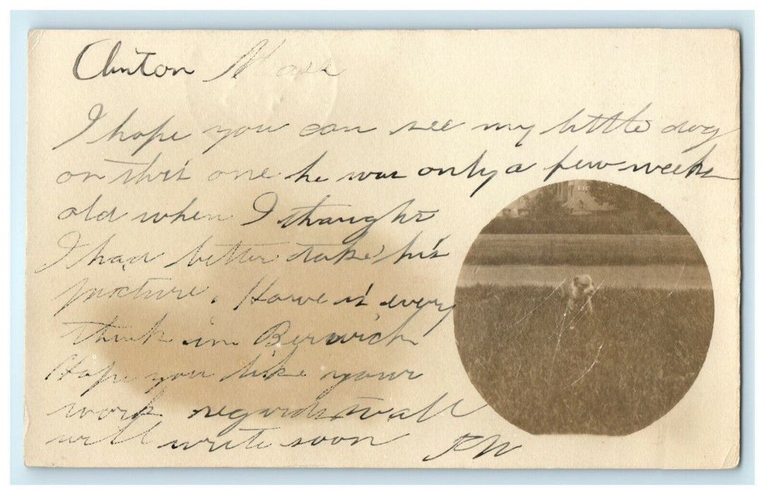1905 Tiny Puppy Dog Clinton Massachusetts MA RPPC Photo Posted Antique Postcard