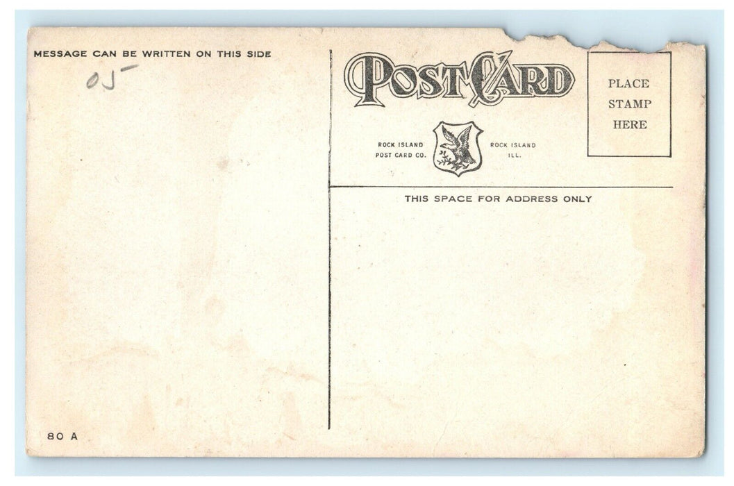 Bridge To Island Arsenal From Moline Illinois IL Unposted Postcard