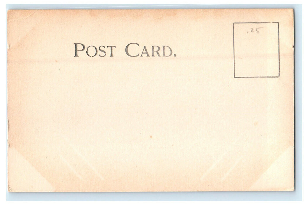 c1905 Lafayette High School Buffalo Morning Express Buffalo Series NY Postcard