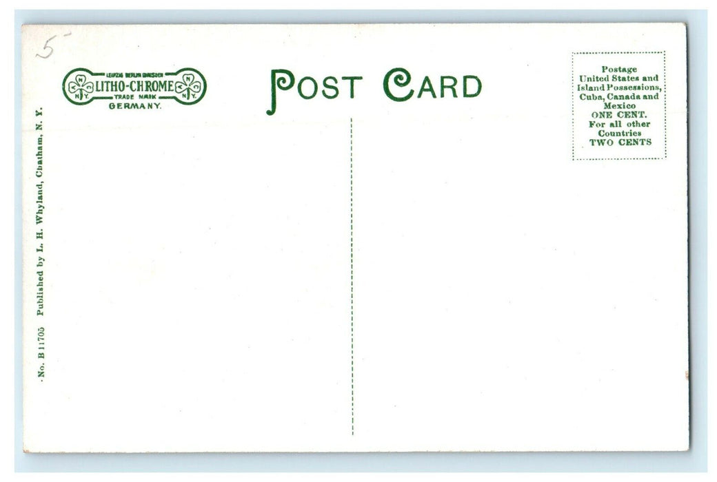 c1910 The Public Library Chatham New York NY Unposted Antique Postcard