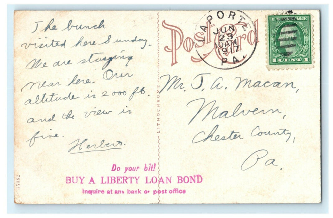 1917 Eagles Mere Lake Liberty Loan Bond Advertising Laporte Boats Postcard
