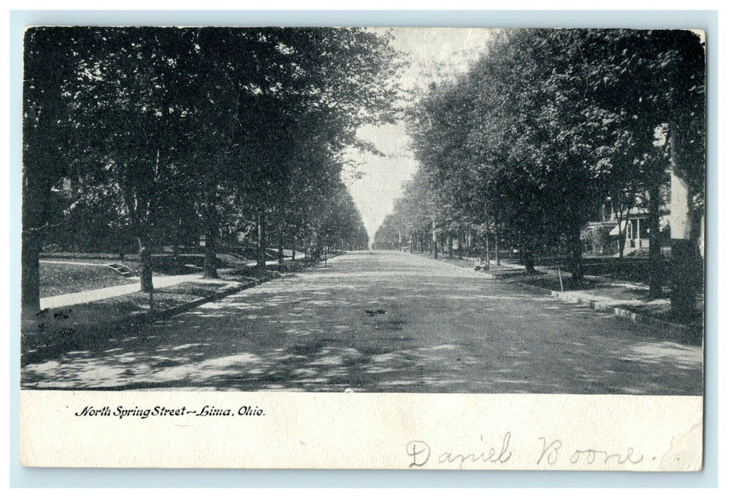 1905 North Spring Street Tree Lined Lima Ohio OH Posted Antique Postcard