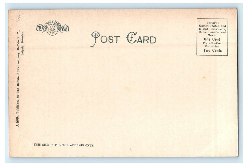 c1905 The University Club Street View Buffalo New York NY Antique Postcard