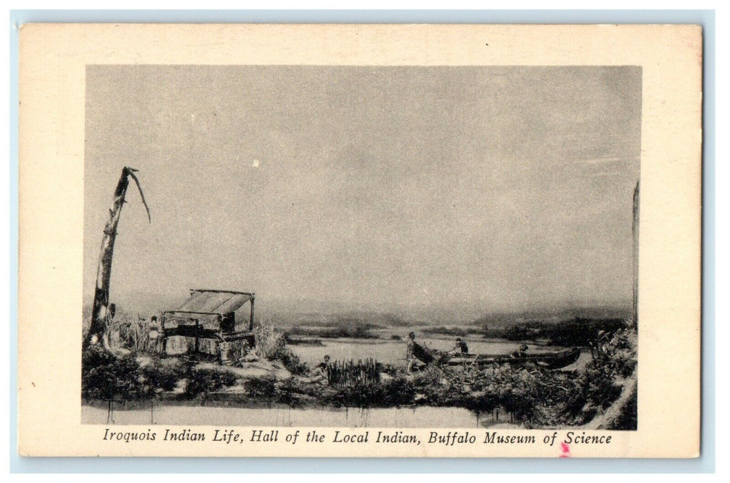 Iroquois Indian Life Hall Local Indian Buffalo Museum Of Science NY Postcard