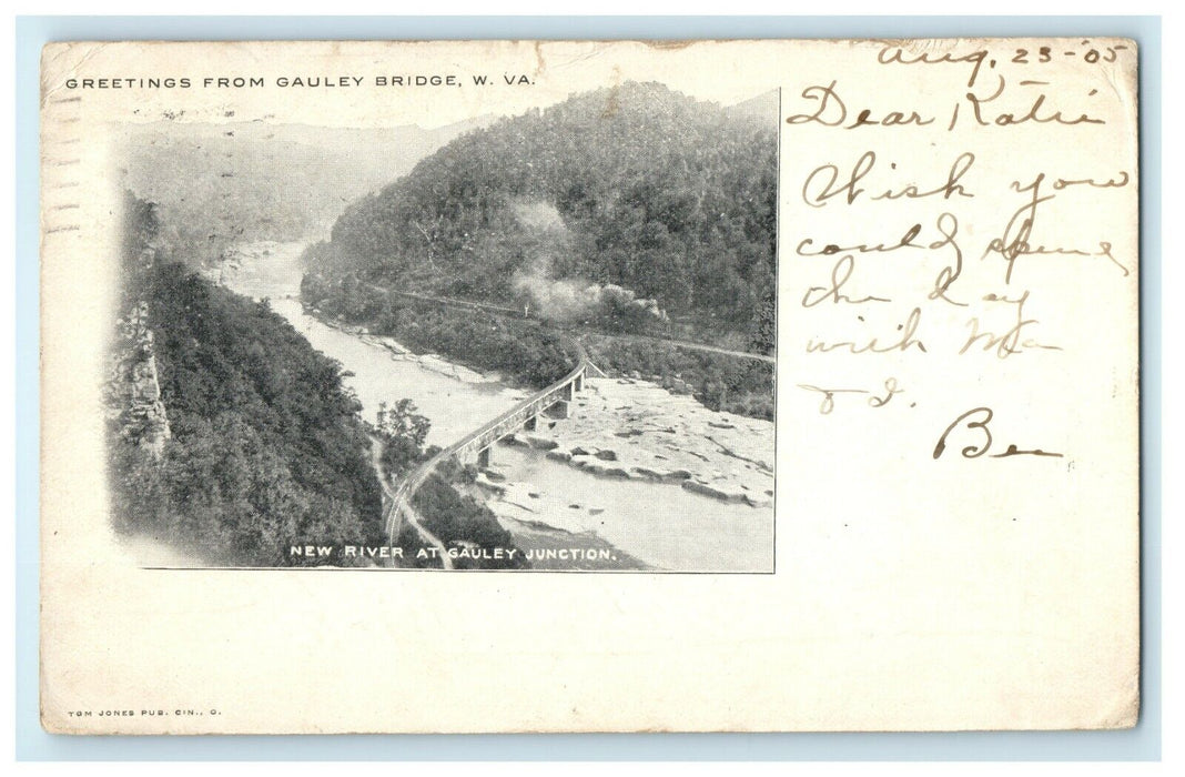 1905 Greetings From Gauley Bridge West Virginia WV New River Junction Postcard