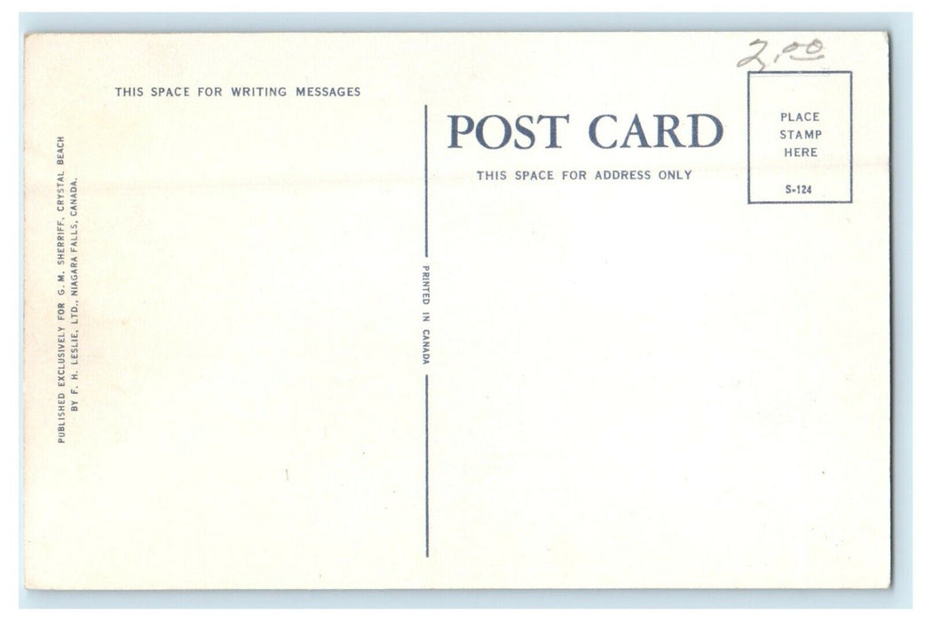 Steamer Canadian Discharges Passengers At Crystal Beach Ontario Canada Postcard