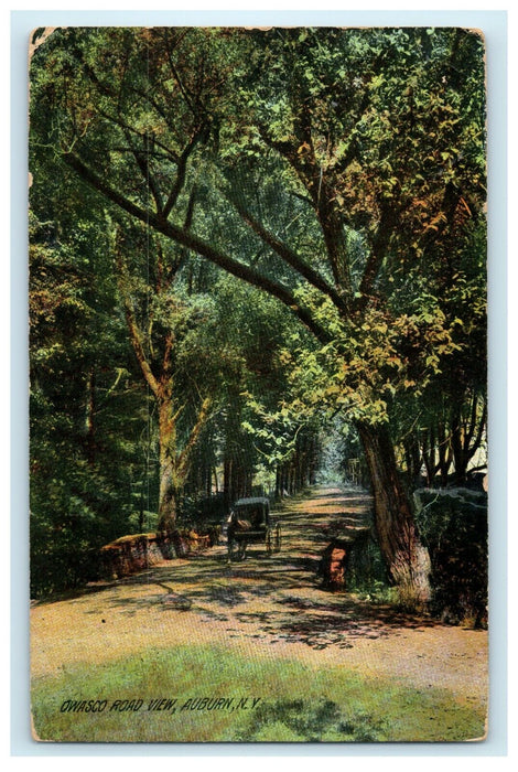 1909 Owasco Road View Ledyard Auburn New York NY Posted Antique Postcard
