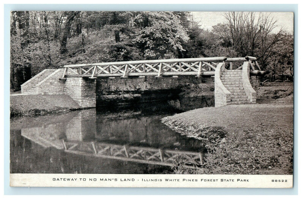 1908 Illinois White Pines Forest, State Park, Ogle County Illinois IL Postcard