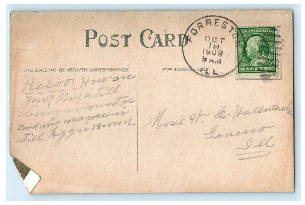 c1909 Post Office Opera House Forreston Illinois IL Posted Antique Postcard