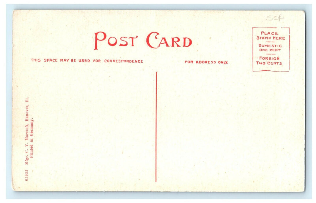 1910 Man Standing in Apple River Falls, Hanover Illinois, IL Postcard