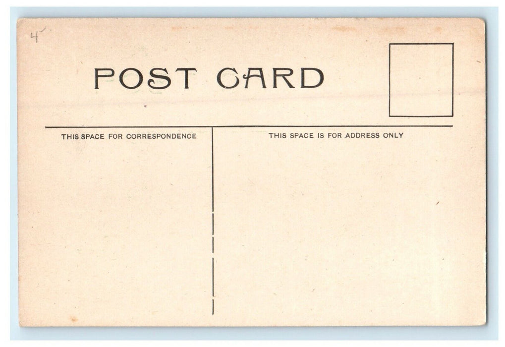 c1910 The High School Building View Clyde New York NY Divided Back Postcard