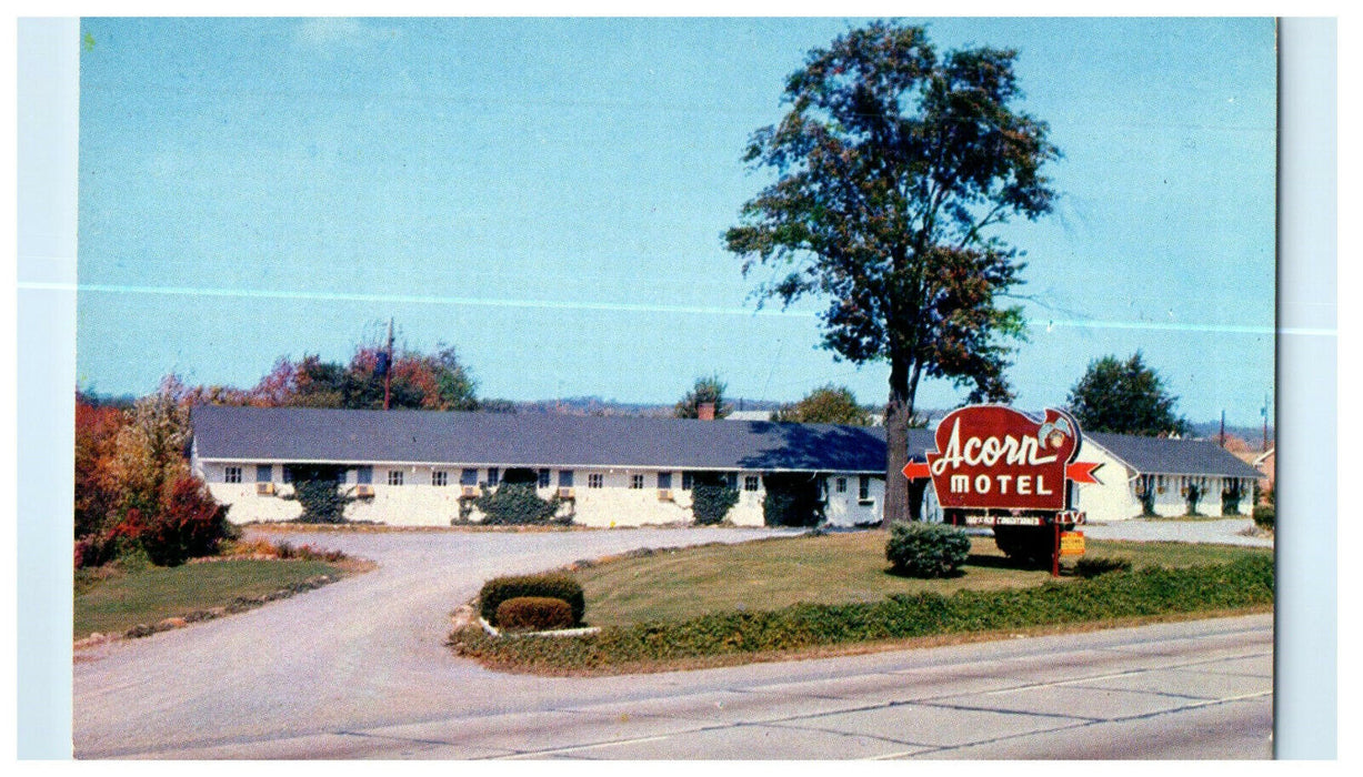 Acorn Motel Between Sunbury and Selinsgrove Pennsylvania PA Unposted Postcard