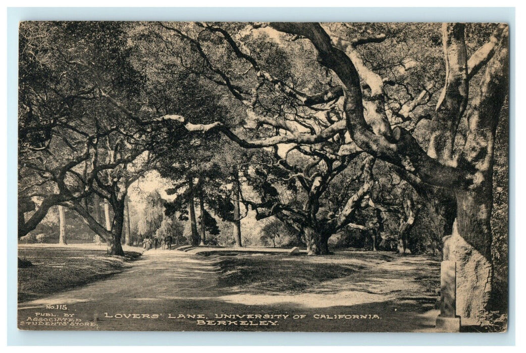 1907 Lover's Lane, University of California, Berkeley California CA Postcard