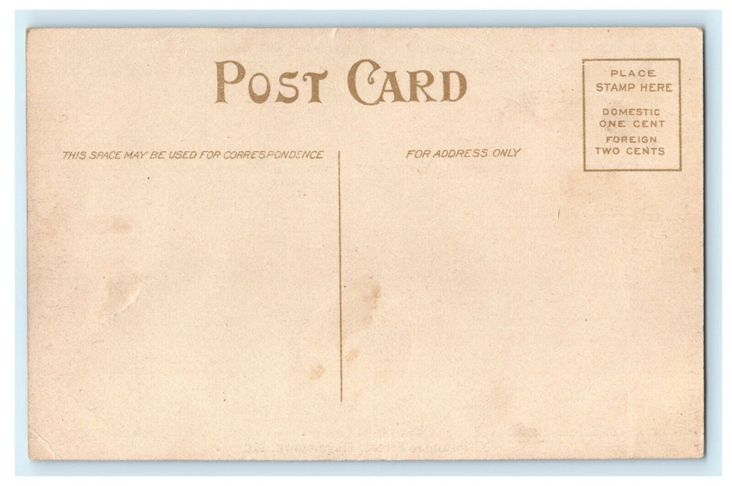 1909 North Potomac Street, Hagerstown Maryland MD Antique Unposted Postcard