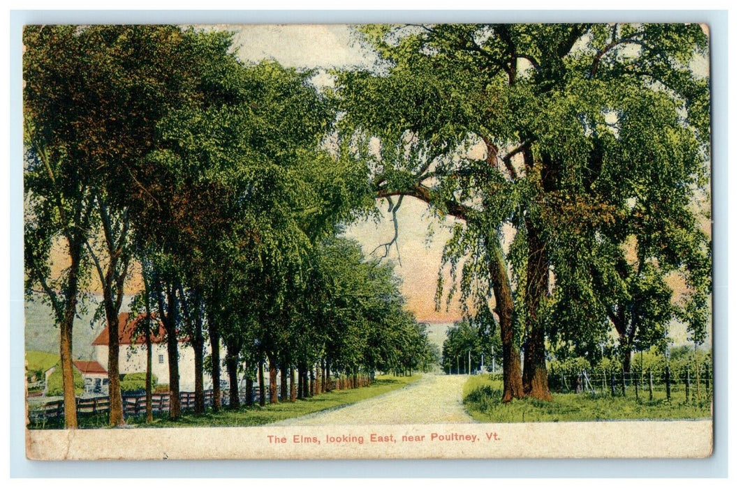 1908 The Elms Looking East Near Poultney Vermont VT Antique Postcard