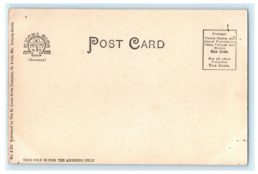 1905 Outdoor View of City Hall of St Louis Missouri MI Antique Postcard