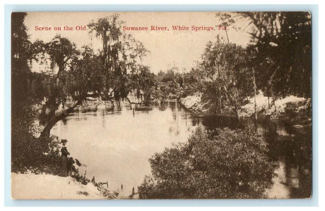 1907 Scene on the Old Suwanee River, White Springs, Florida FL Postcard