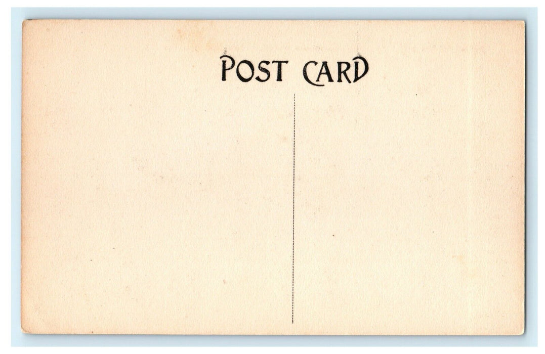1907 Scene on the Old Suwanee River, White Springs, Florida FL Postcard