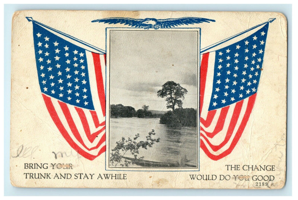 1917 WW1 Patriotic Eagle American Flag Pennsylvania West Finley Postcard