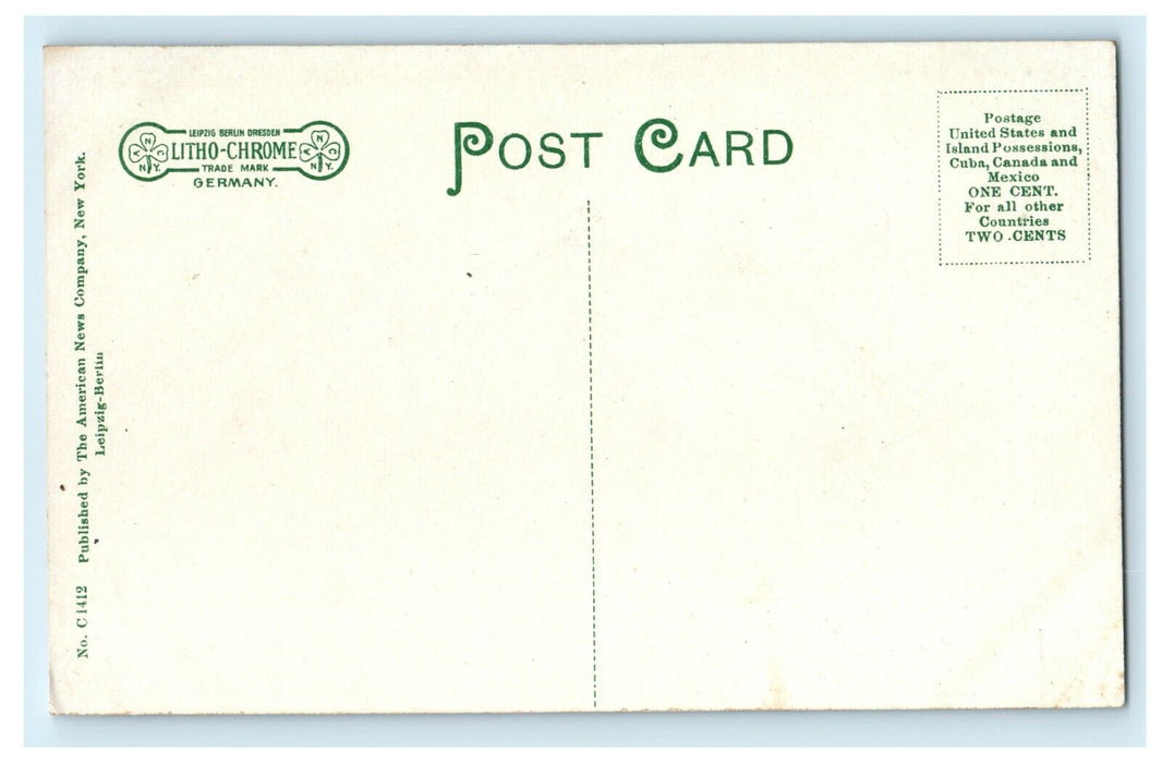 1912 St. Vincent Asylum Fort Wayne Indiana IN Church Antique Unposted Postcard