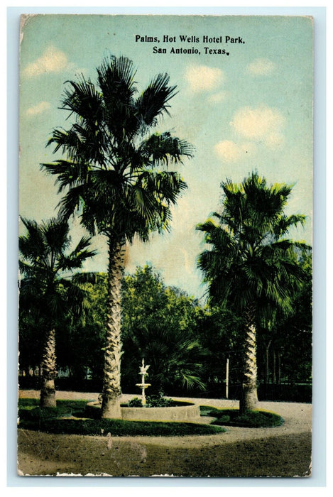 Palm Hot Wells Hotel Park San Antonio Texas TX Unposted Postcard