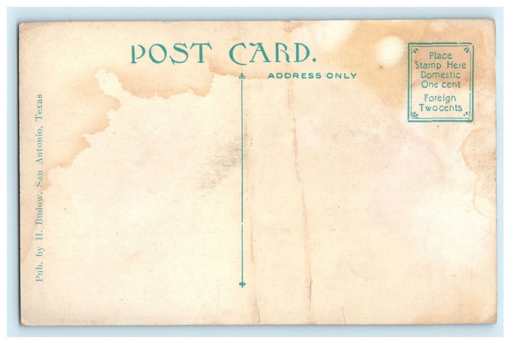 Palm Hot Wells Hotel Park San Antonio Texas TX Unposted Postcard
