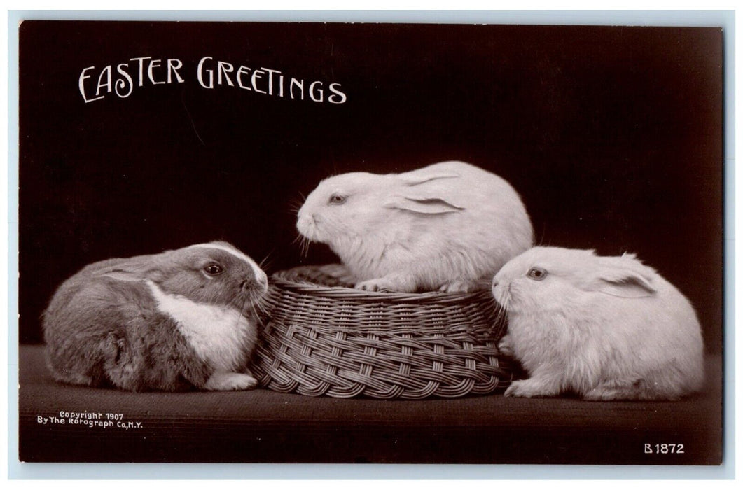 1908 Easter Greetings Bunny Rabbit Rotograph Annapolis MD RPPC Photo Postcard