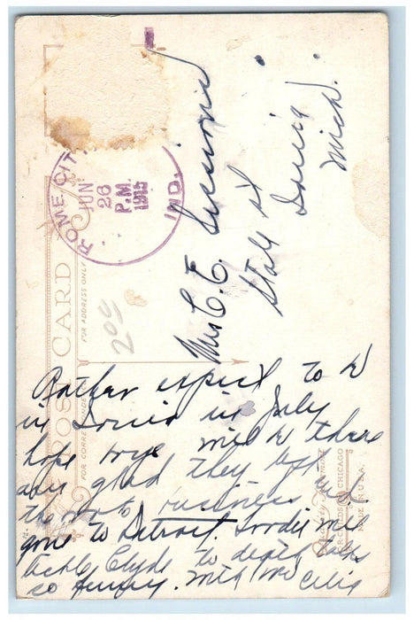 1915 View Of The Old Willow Tree And Bathers Rome City Indiana IN Postcard
