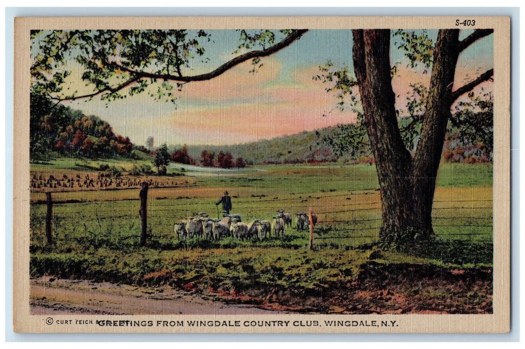 c1940's Sheeps Greetings from Wingdale Country Club Wingdale NY Postcard