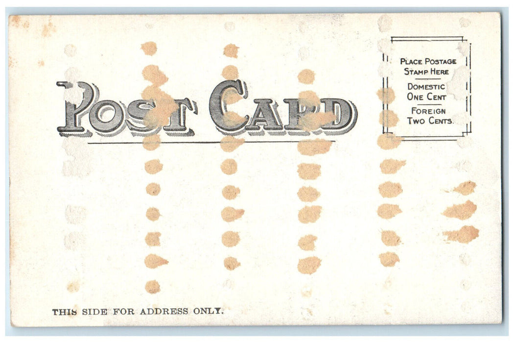 c1905 Pike's Peak Railway Coney Island New York NY Antique Unposted Postcard