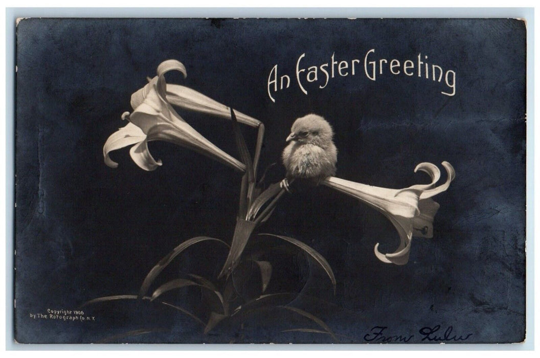 1907 Easter Greeting Chick On Top Of Lily Flowers Rotograph RPPC Photo Postcard