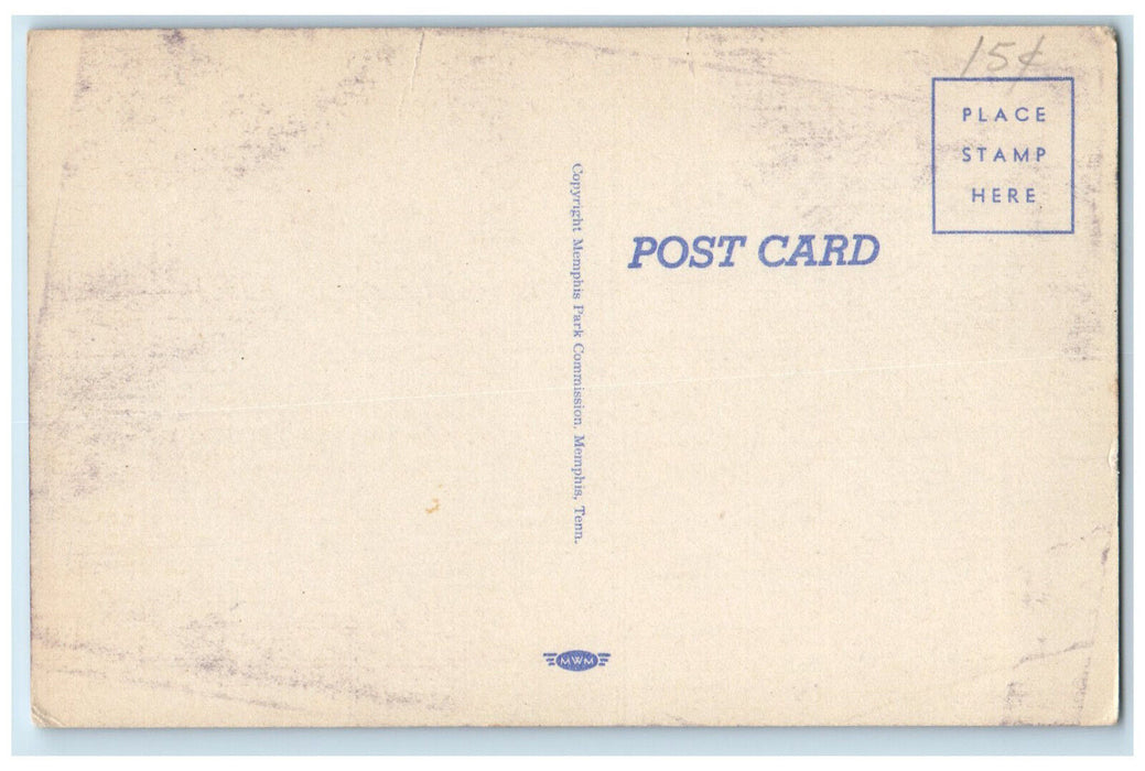 c1940's Young Leopard Overton Park Zoo Memphis Tennessee TN Vintage Postcard