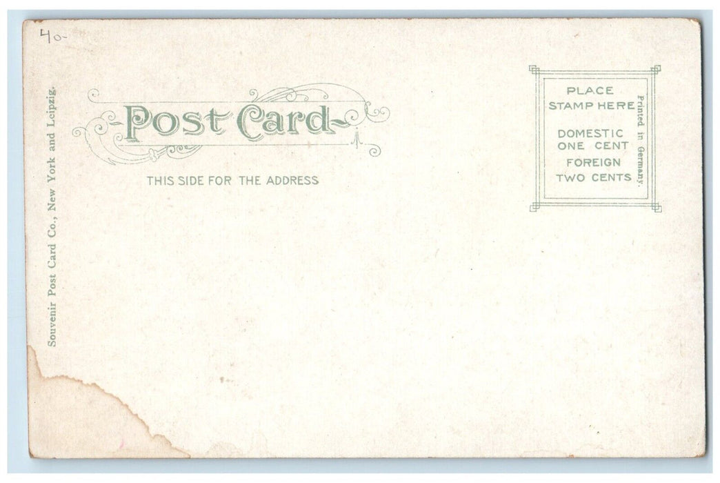 c1905 Hotel Chautaugua Saint Petersburg Florida FL Unposted Antique Postcard