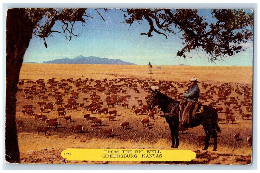 Greensburg KS, From The Big Well Windmill Cattle Cows Horse Cowboy Postcard