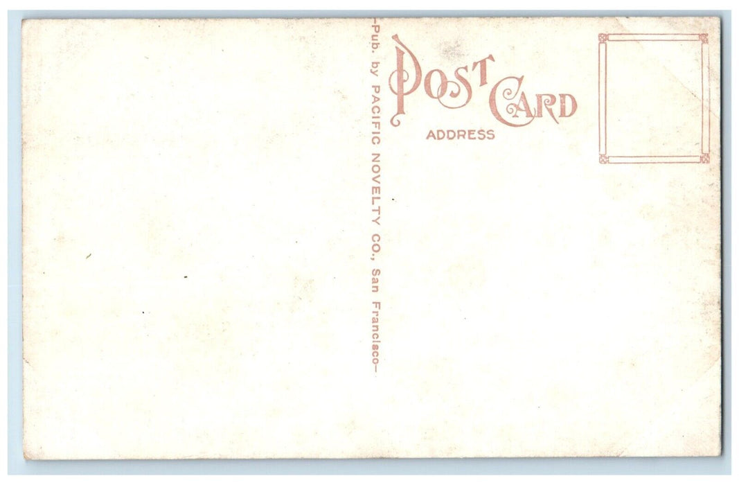 c1910 Gravity Car Mt. Tamalpais Muir Woods Railway Railroad California Postcard