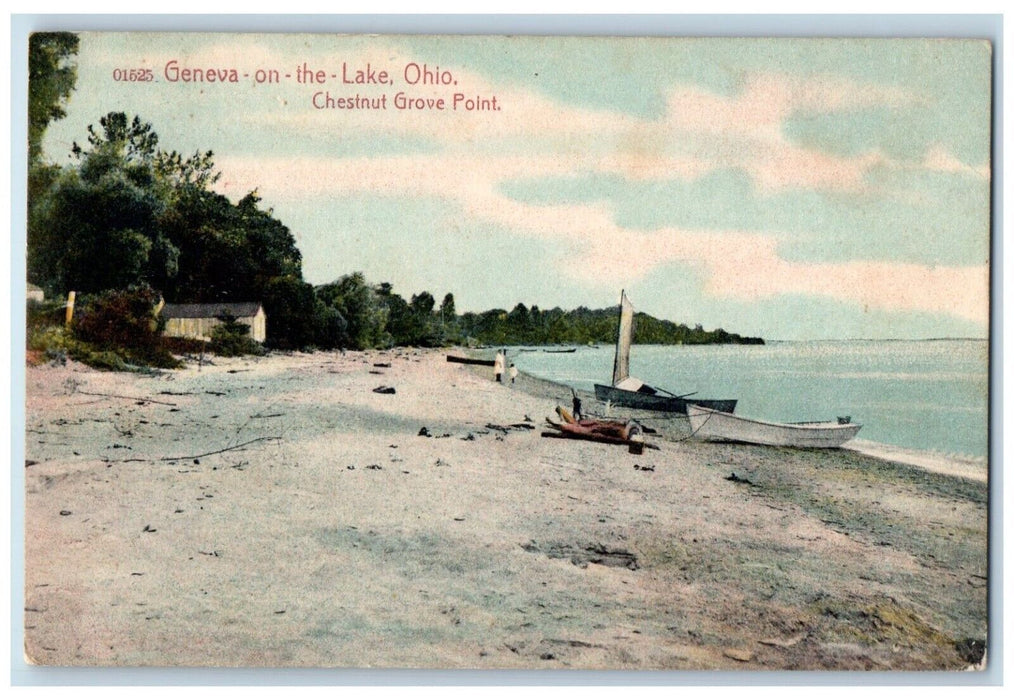 c1910 Chestnut Grove Point Canoe Boat Geneva On The Lake Ohio Vintage Postcard