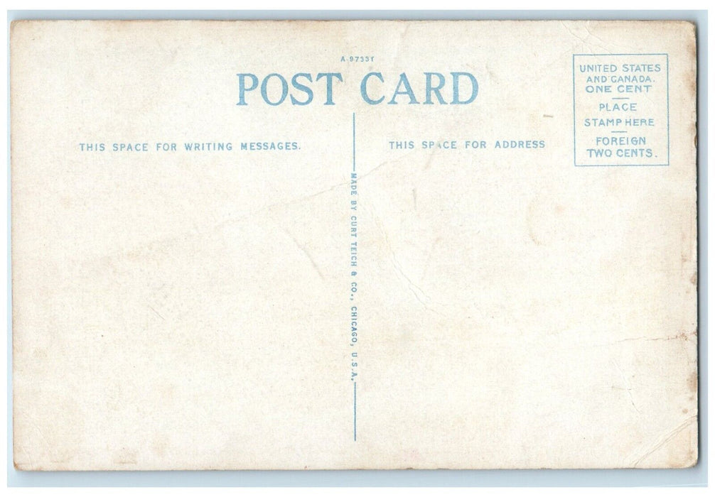 c1920 S.S. Emma Alexander Pacific Steamship Pacific Liner Seattle Ship Postcard