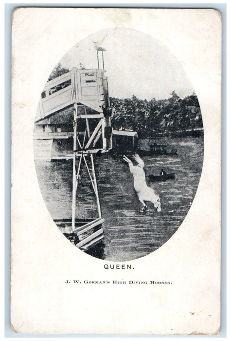 c1905 Horse Queen Diving Canoe Boat Unposted Antique Postcard