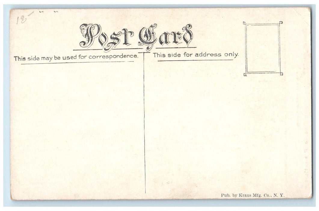 c1910's Mary Pickford Curly Hair Actress Theater Vaudeville Advertising Postcard
