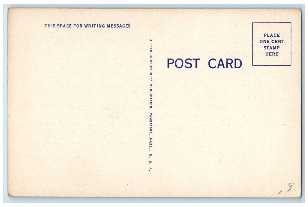 c1930's Valentine Sweet Couple Hearts But She's Not So Green Vintage Postcard