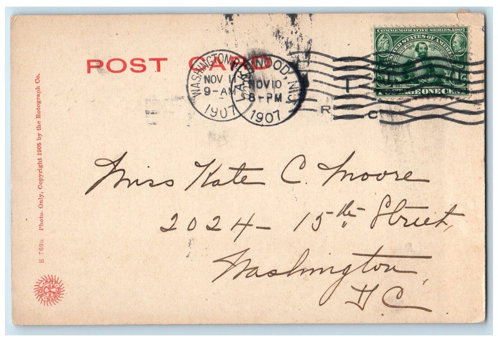 1907 The Laurel In The Pines Street View Horse And Buggy Lakewood NJ Postcard